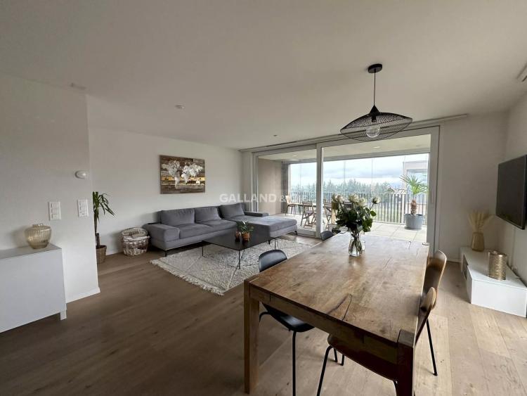 3.5 pièces avec grande terrasse-loggia