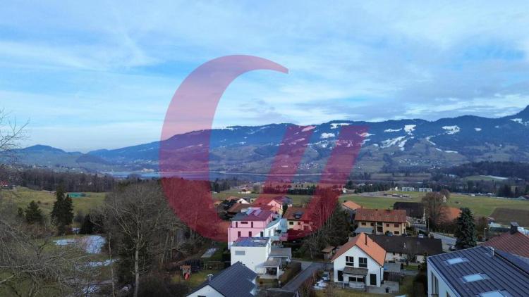 Außergewöhnliche Immobilien in Sorens!