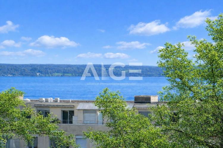 6 pièces vue lac à Versoix
