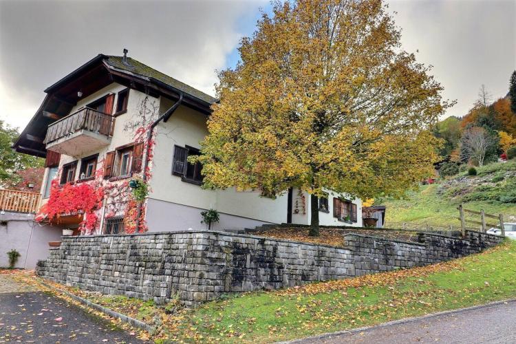 House for rent, Chemin des Loyettes 7 (Bas-Intyamon, Switzerland)
