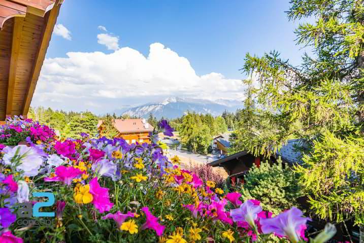 Chaleureux attique avec vue panoramique