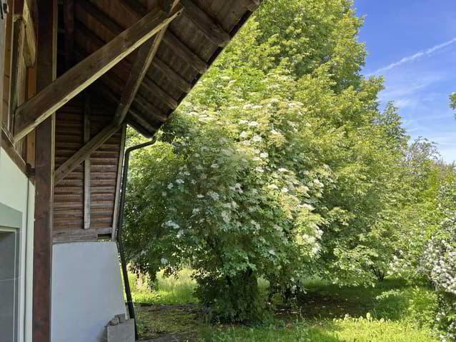 Ferme rénovée composée de 2 appartements au coeur de Rossens
