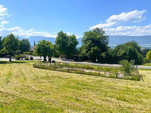 CHESEAUX-NOREAZ SUD - RAVISSANTE MAISON VILLAGEOISE