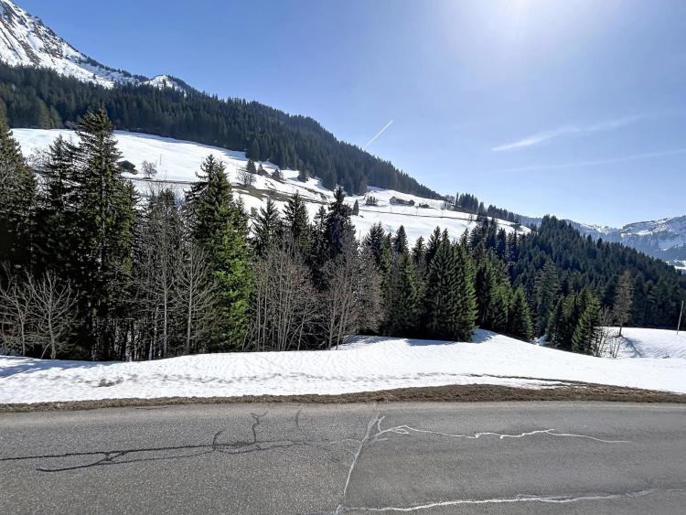 House for sale, Les Mosses (Ormont-Dessous, Switzerland)