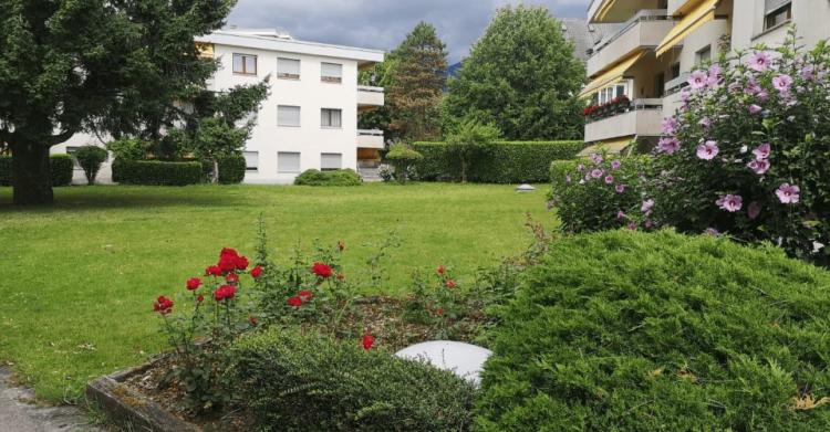 Appartement 2.5 pièces