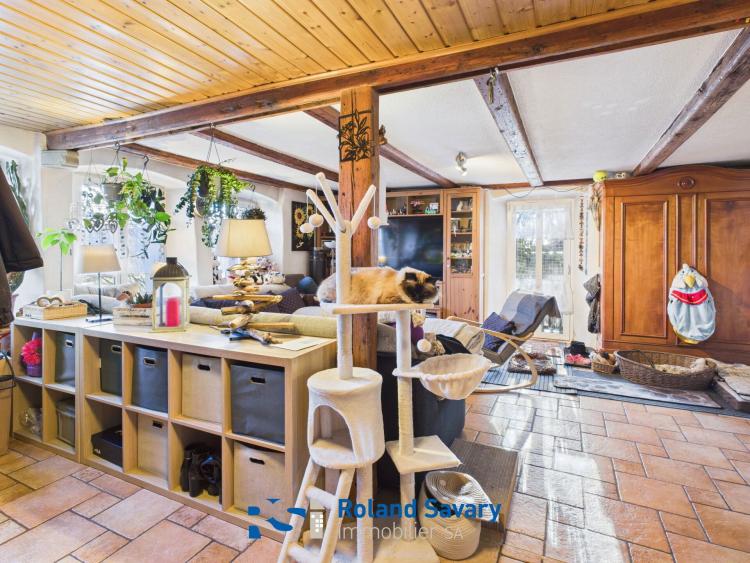 Maison familiale + terrain Chatillens