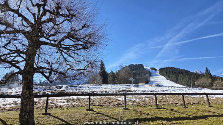 Très joli appartement de 2,5 pièces à Torgon