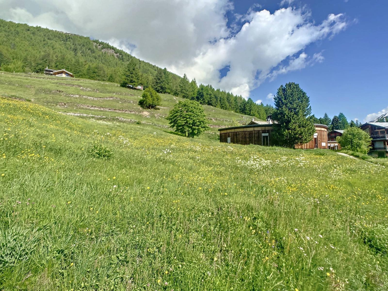 Terrain à bâtir parfaitement situé