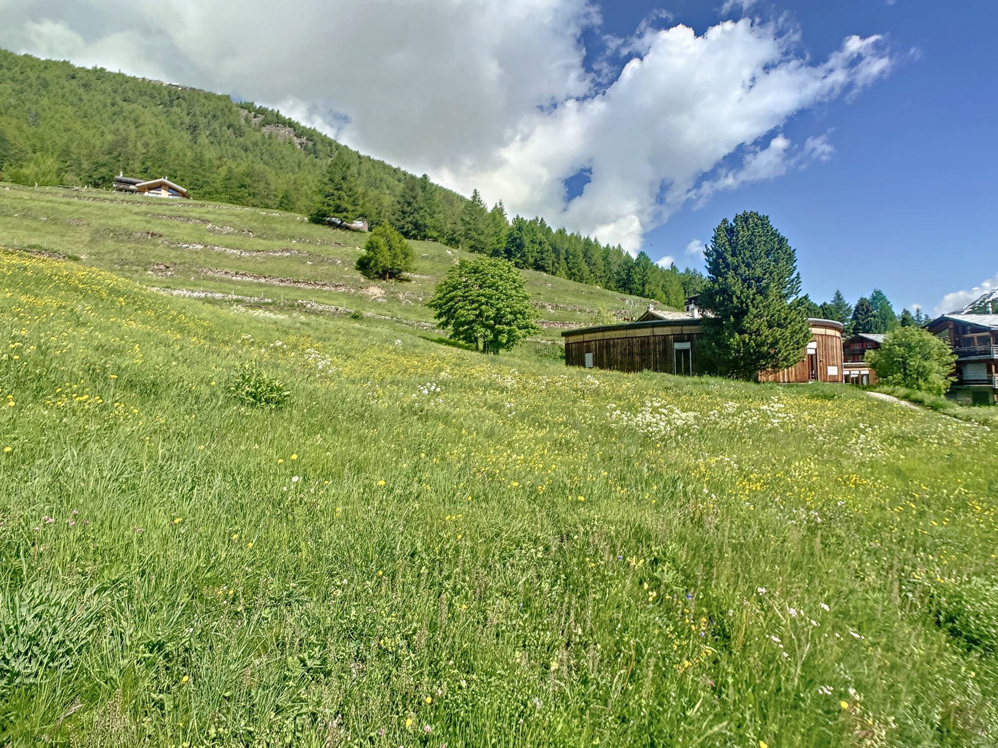 ZHRWb_kaban-bien-5160541.jpg