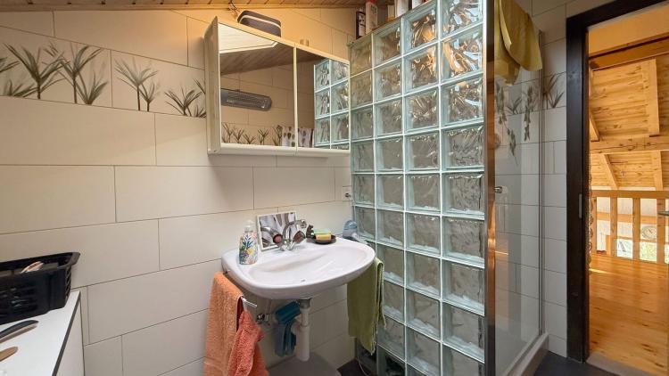 Chalet familial 5.5 pces + Appartement 3.5 pce - Chermignon