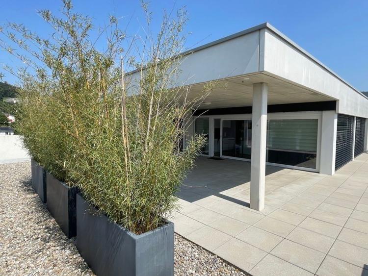 Appartement, Delémont - 2400
