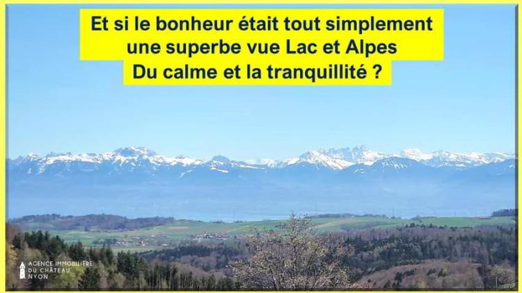 Et si le bonheur était une superbe vue Lac et Alpes ?