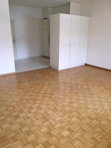 Appartement 1.5 pièces au cur de Fribourg